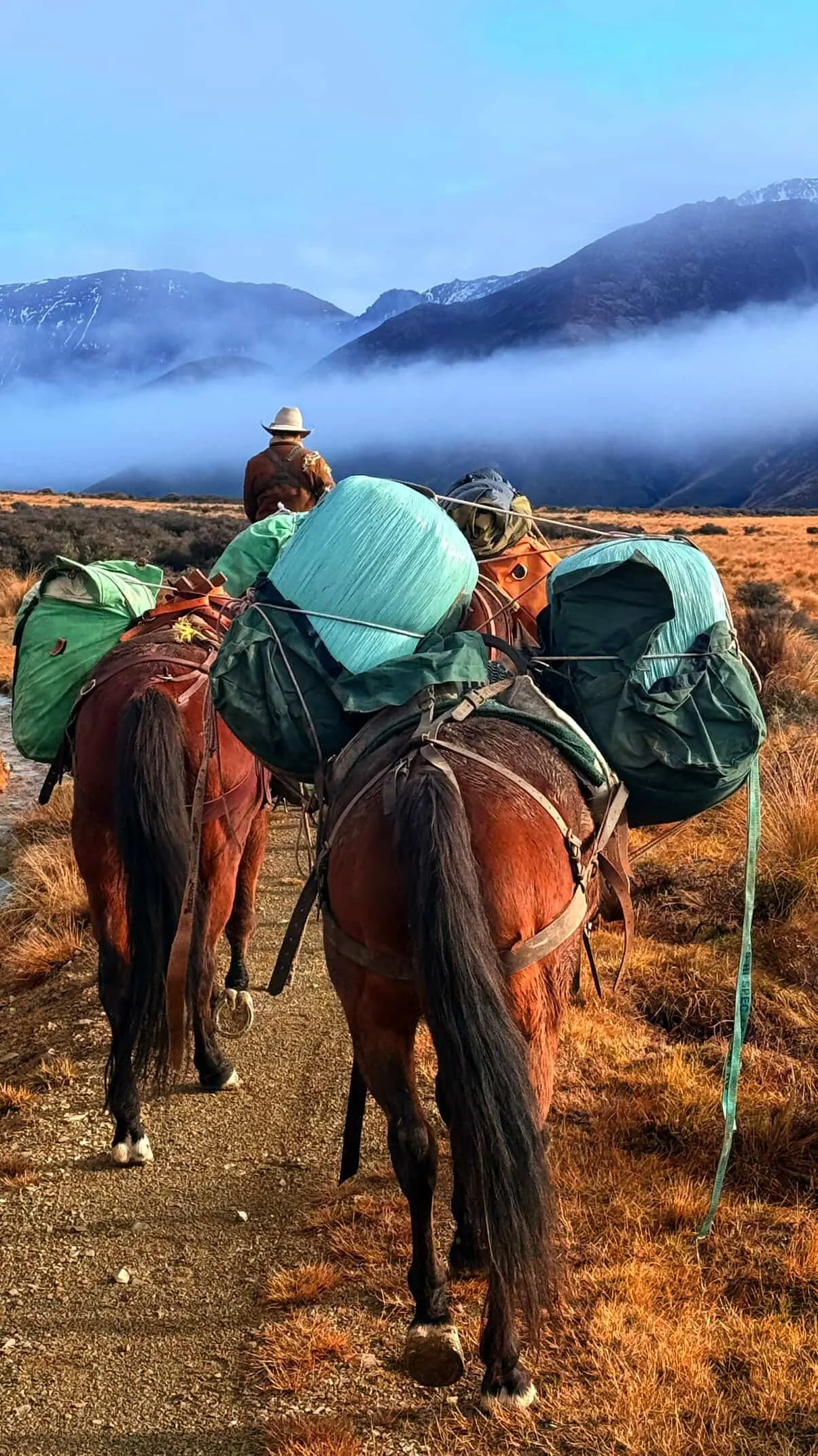 High-country horse trekking