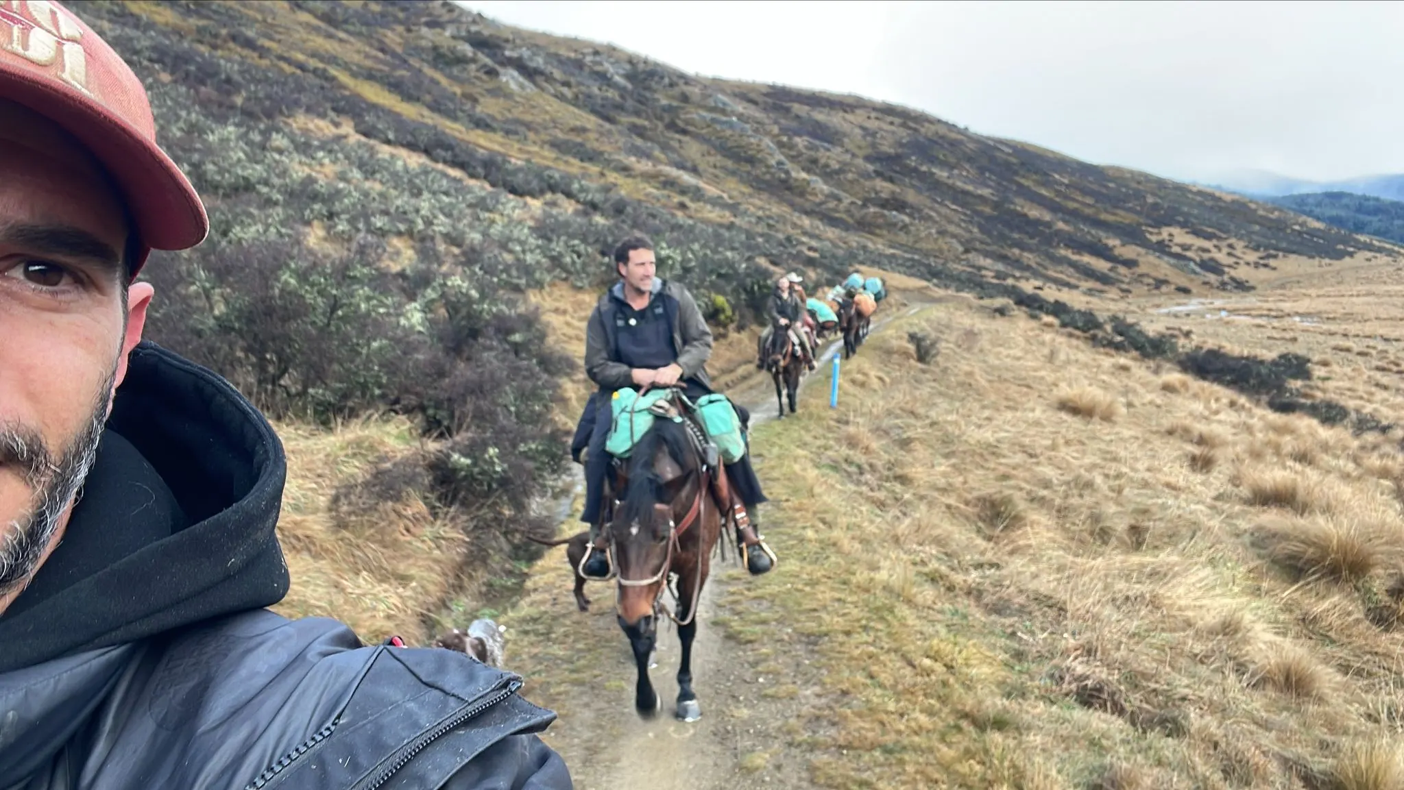 High-country horse trekking, New Zealand