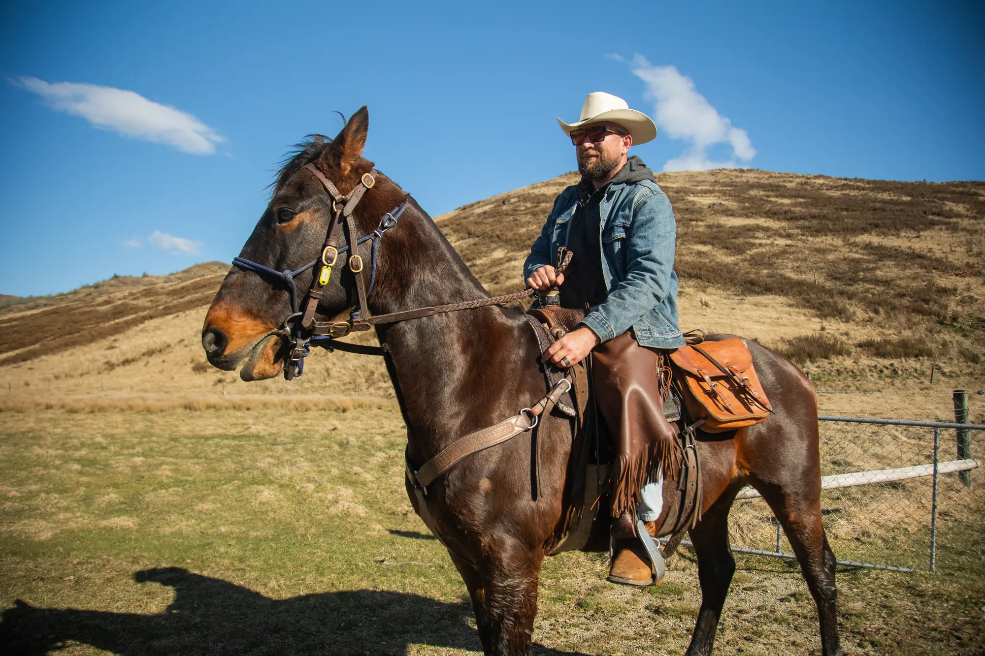 High-country horse trekking