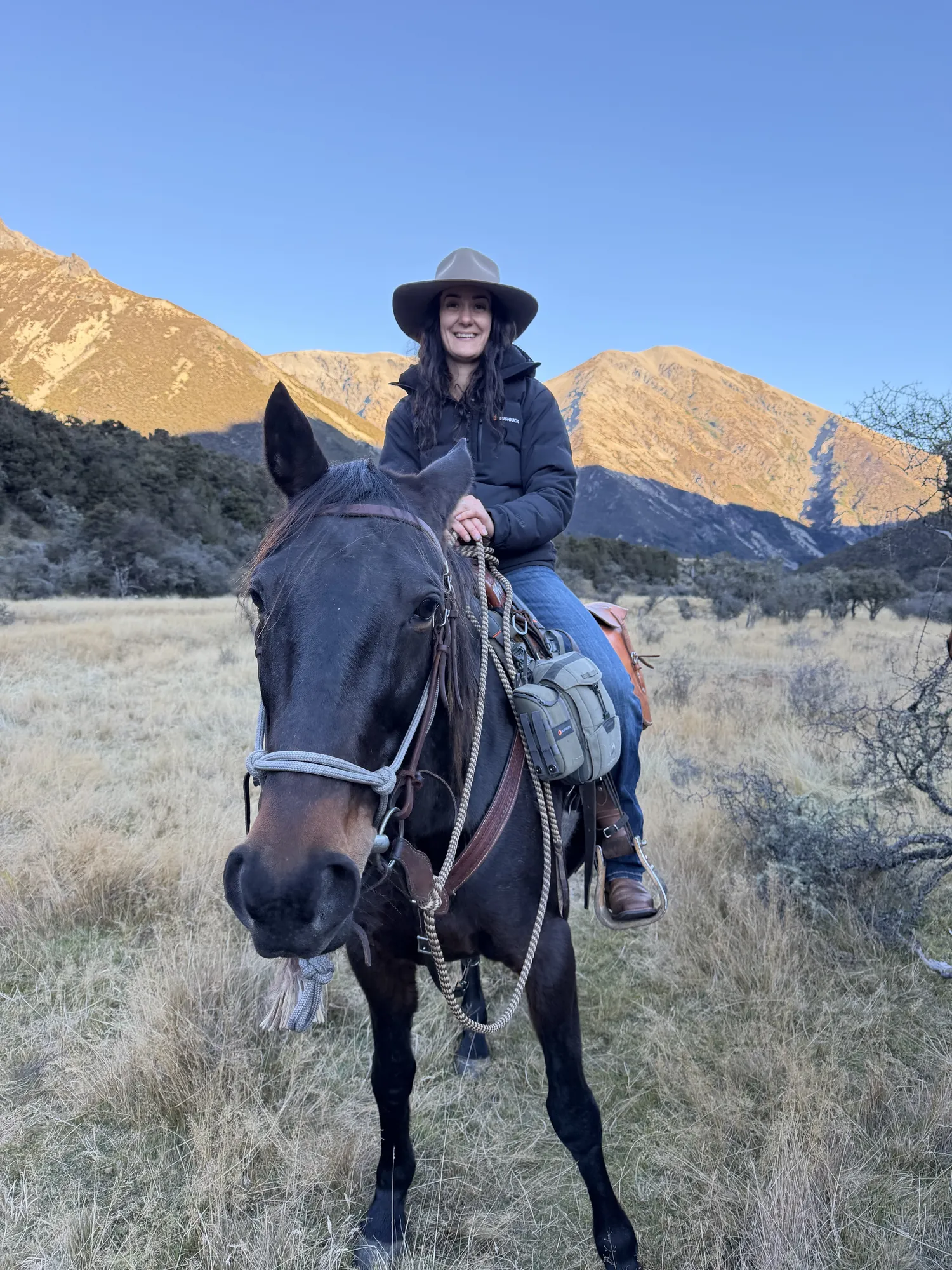 High-country horse trekking, New Zealand