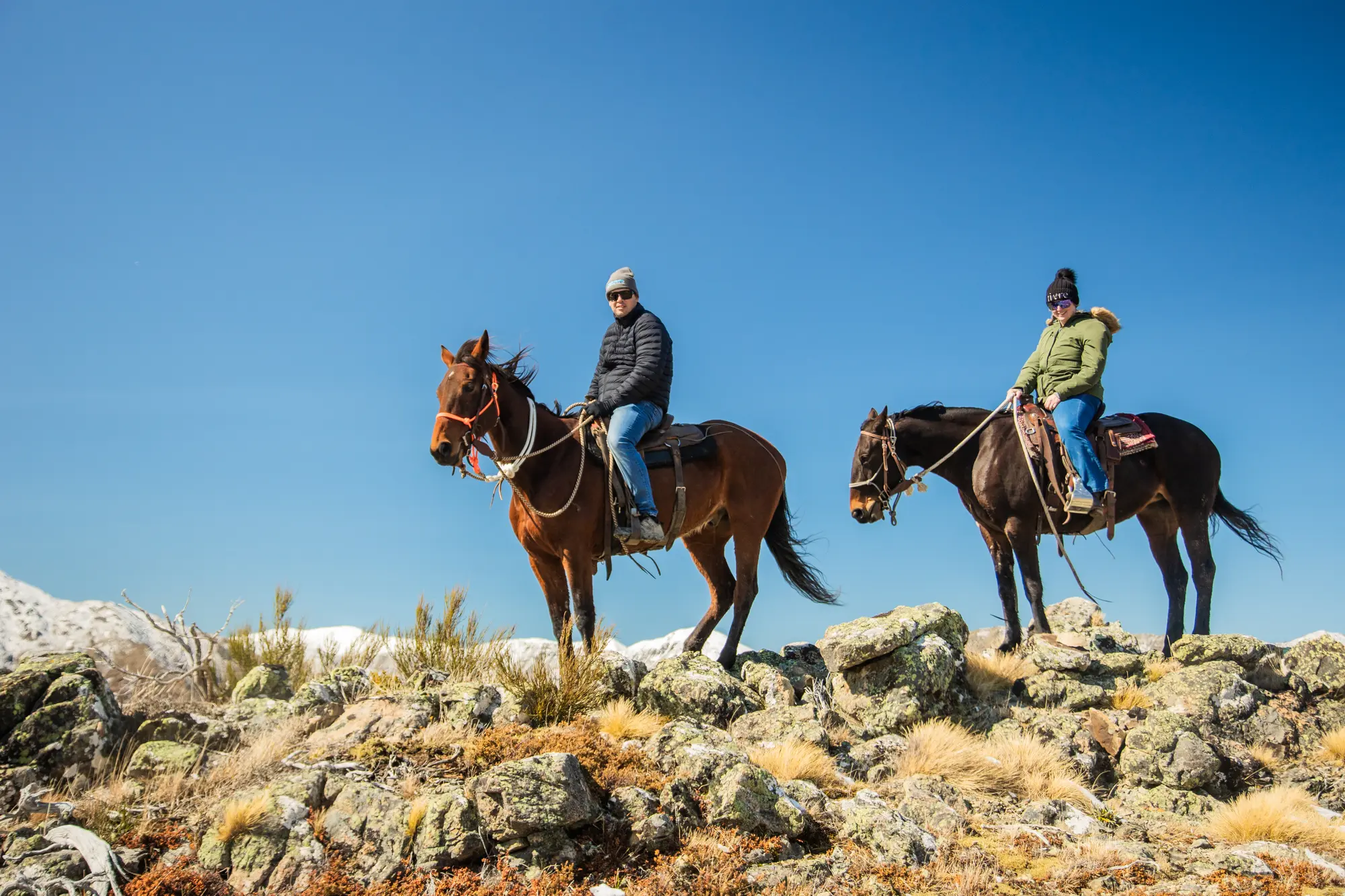 High-country horse trekking, New Zealand