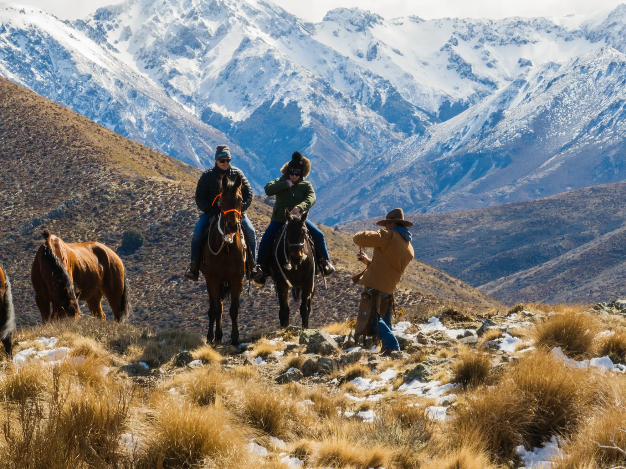 High-country horse trekking, New Zealand