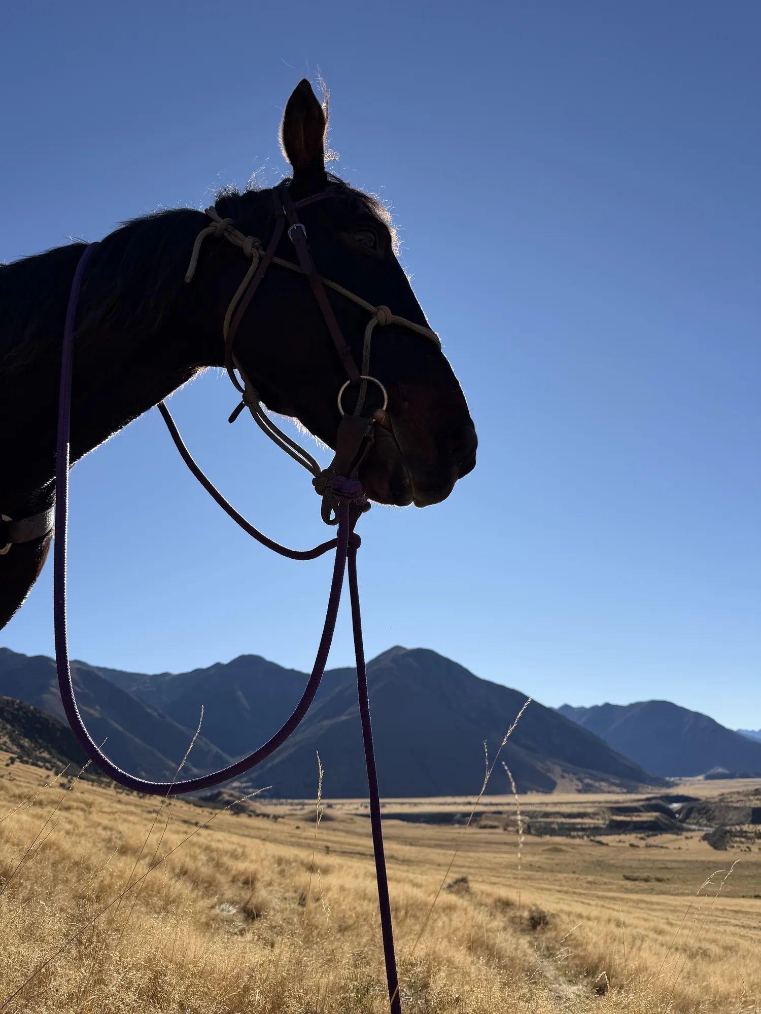 Experienced riders crossing high-country terrain in the St James, New Zealand