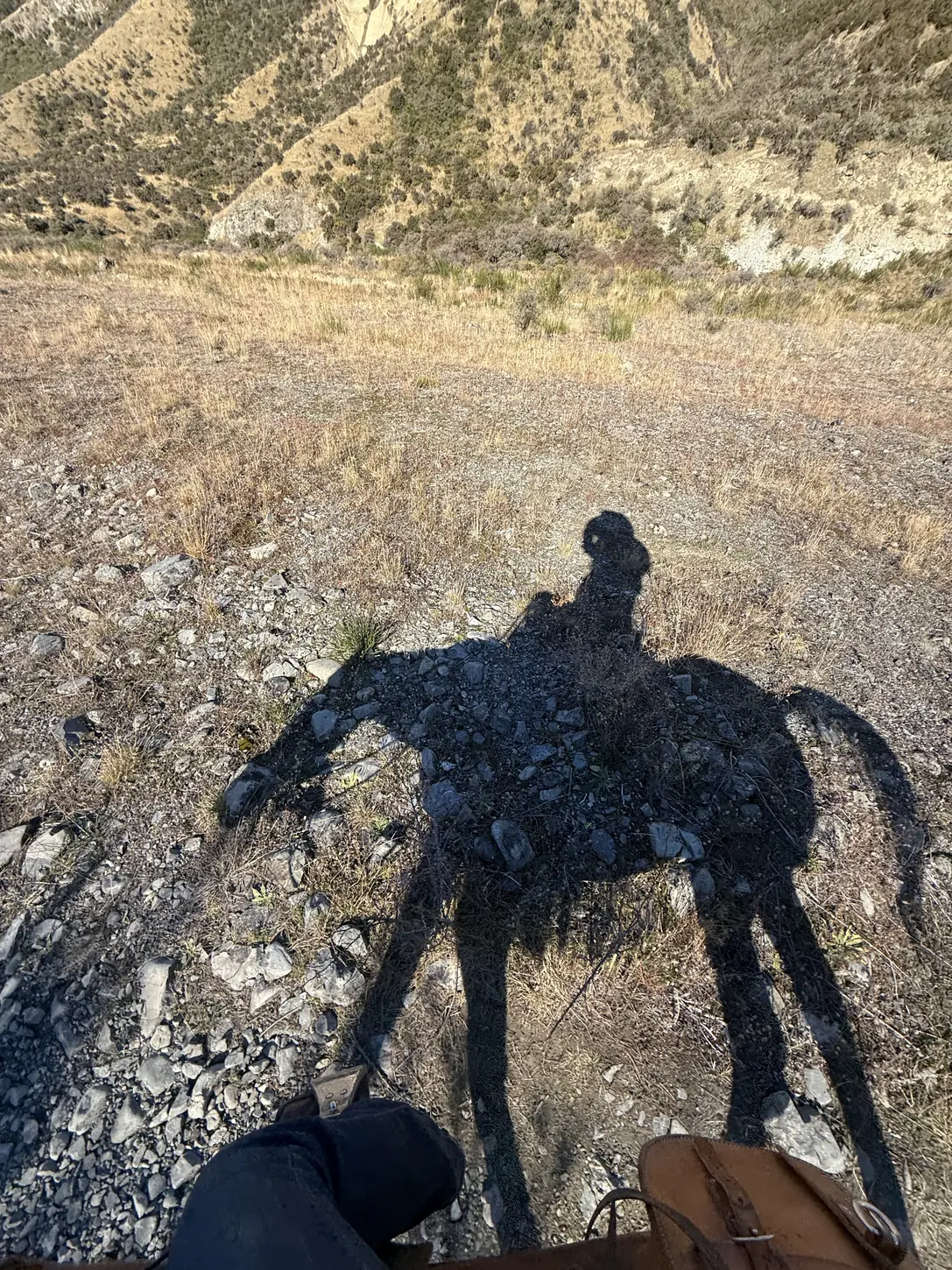 High-country horse trekking, New Zealand