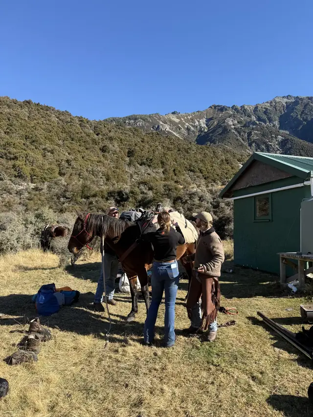 High-country horse trekking