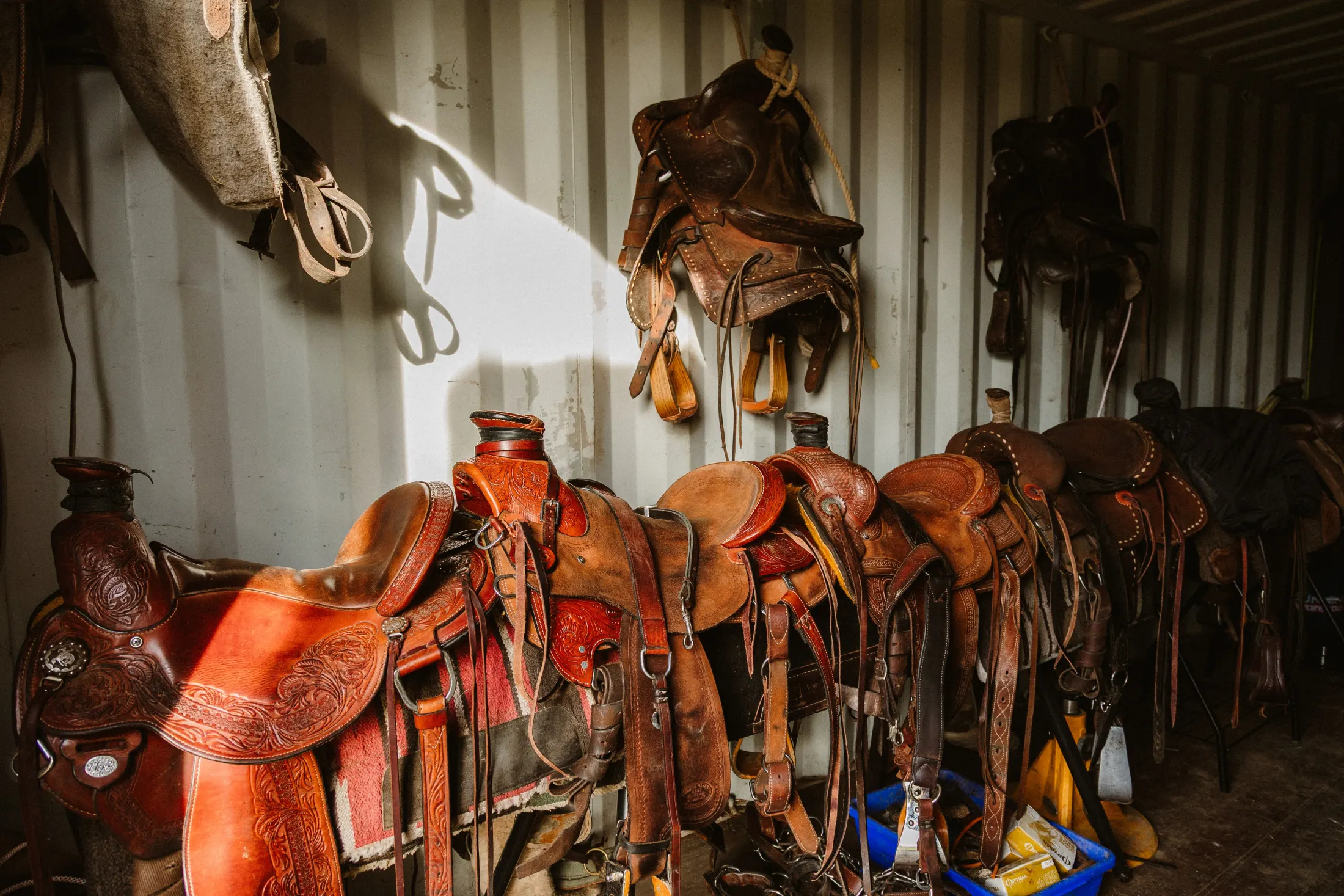 Western saddles lined up in the tack room