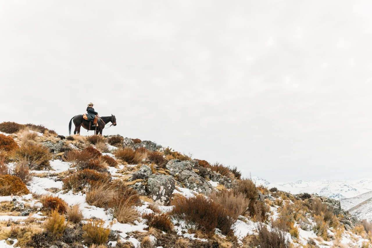 A lone rider pauses on a tussock ridge crest, snow-capped St James ranges beyond