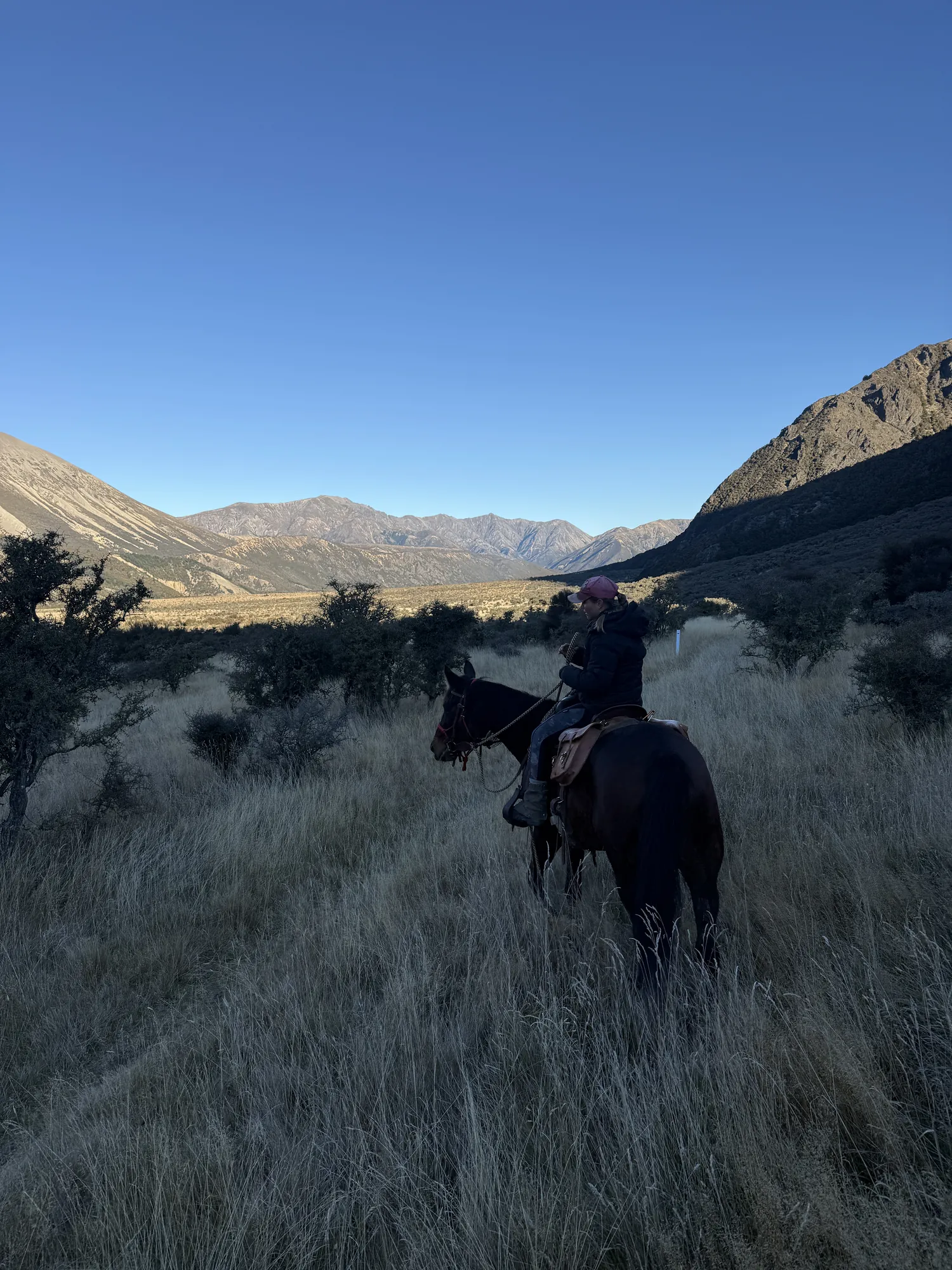 High-country horse trekking, New Zealand