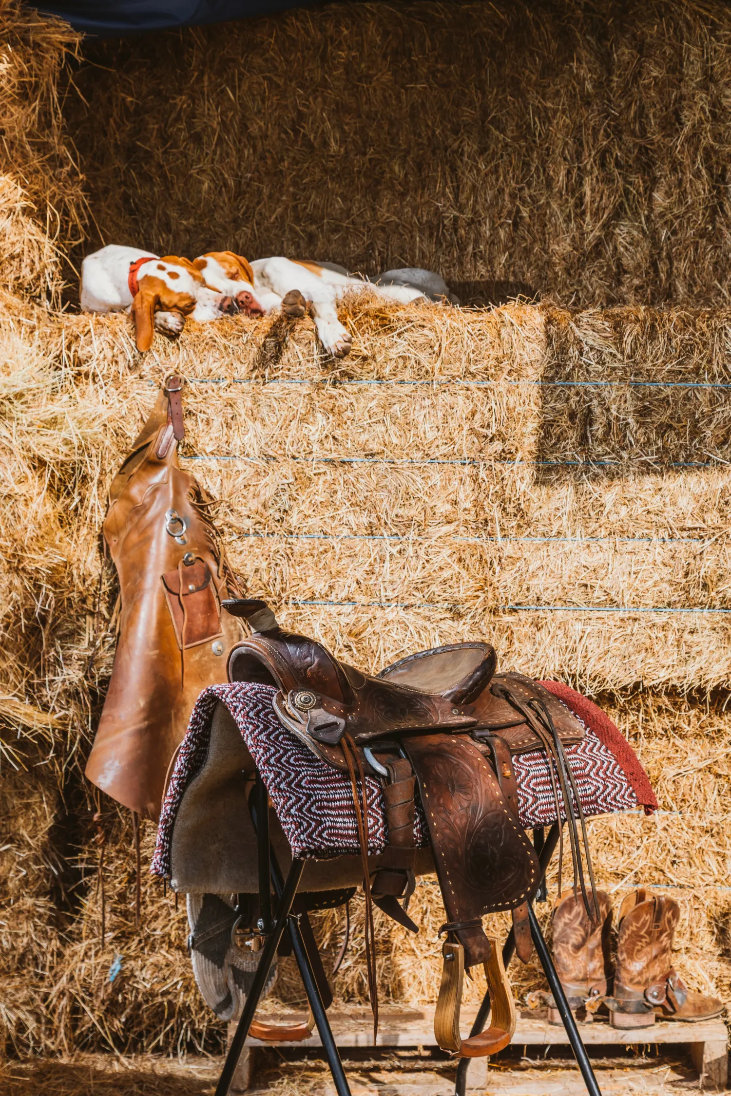 High-country horse trekking