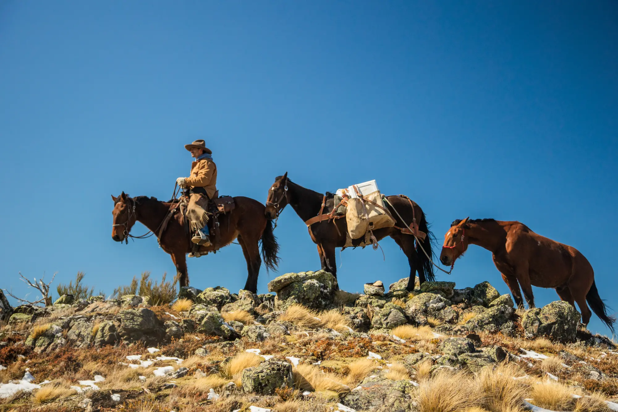 High-country horse trekking, New Zealand