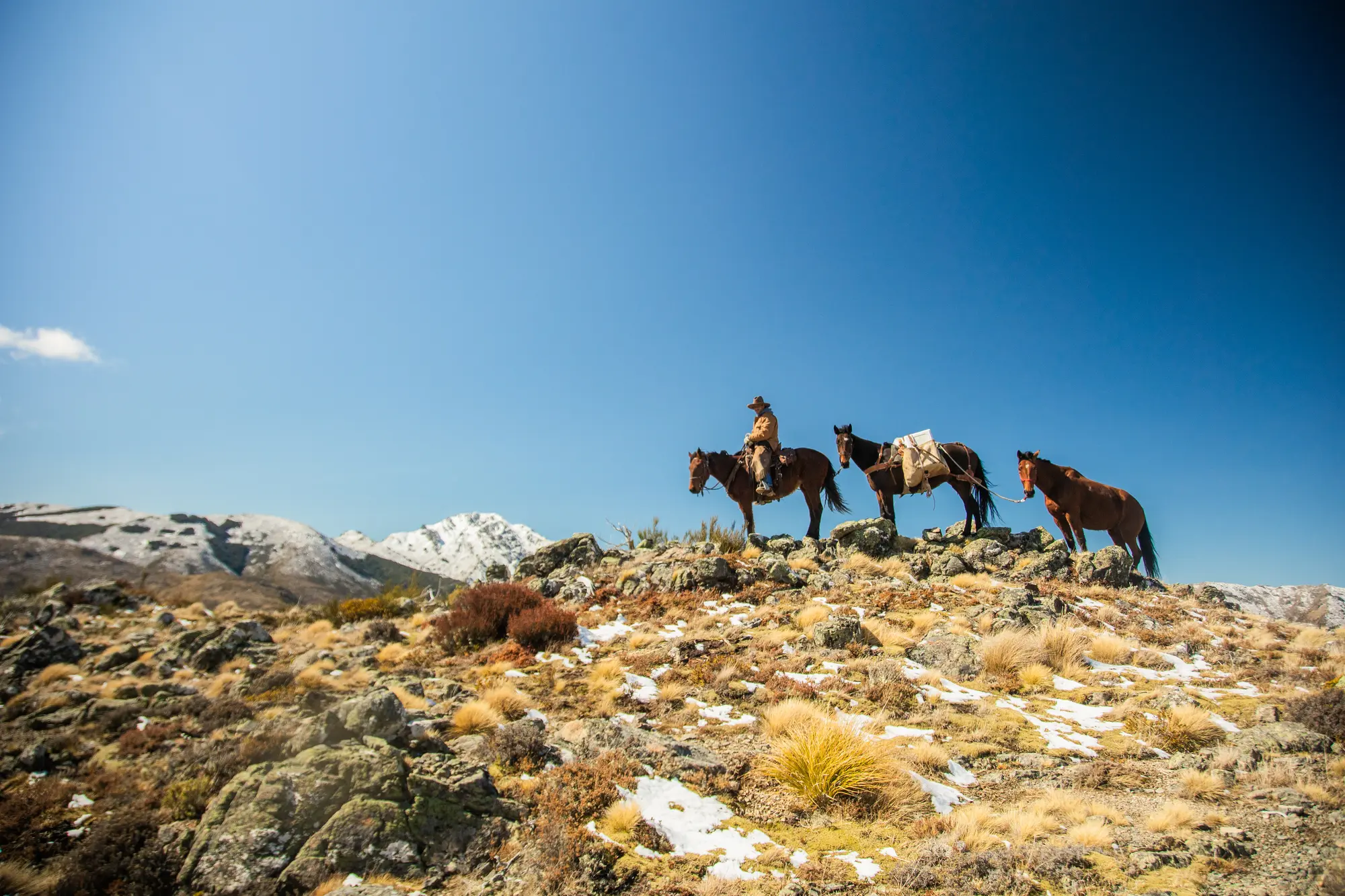 High-country horse trekking, New Zealand