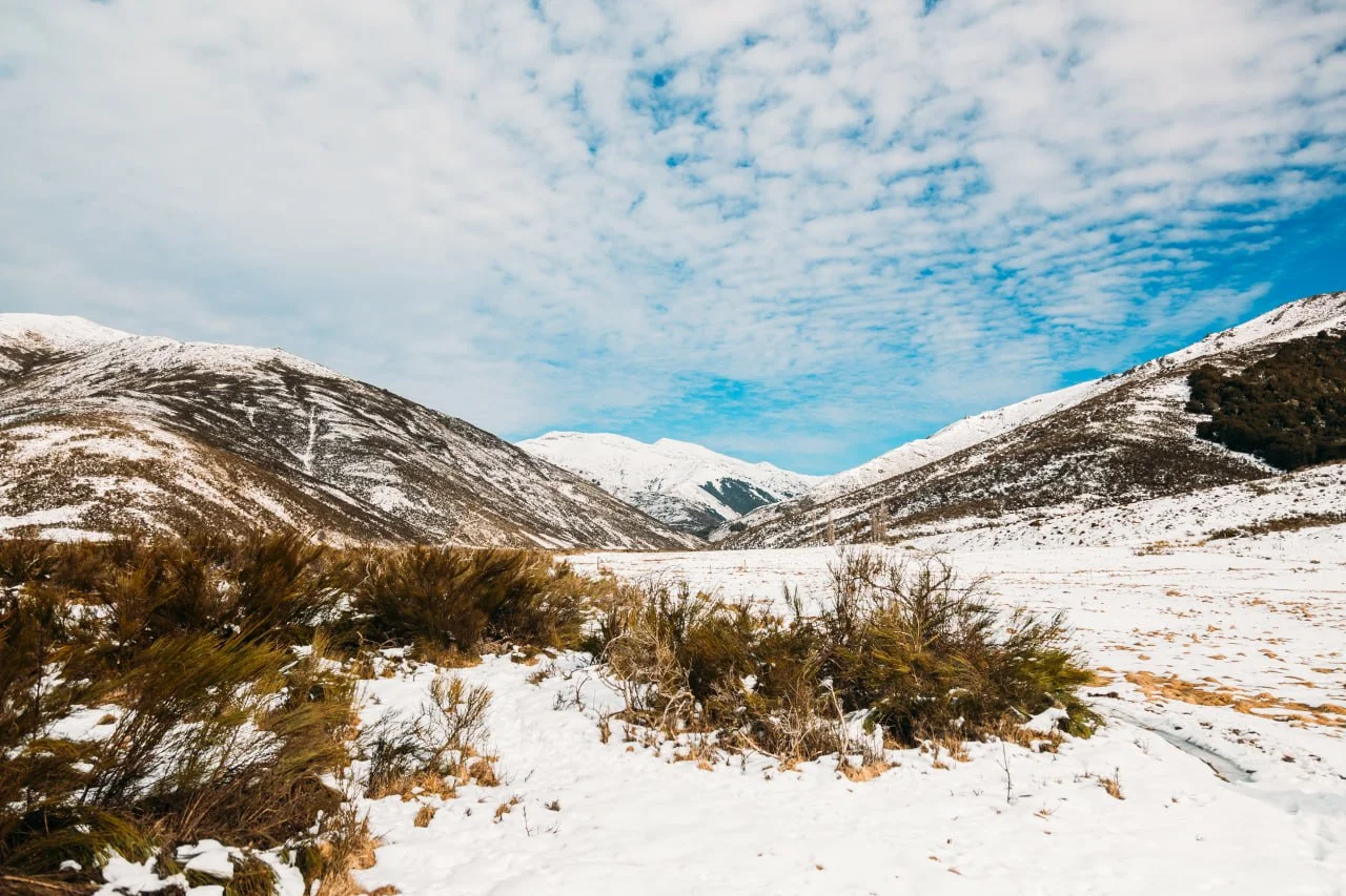 High-country horse trekking