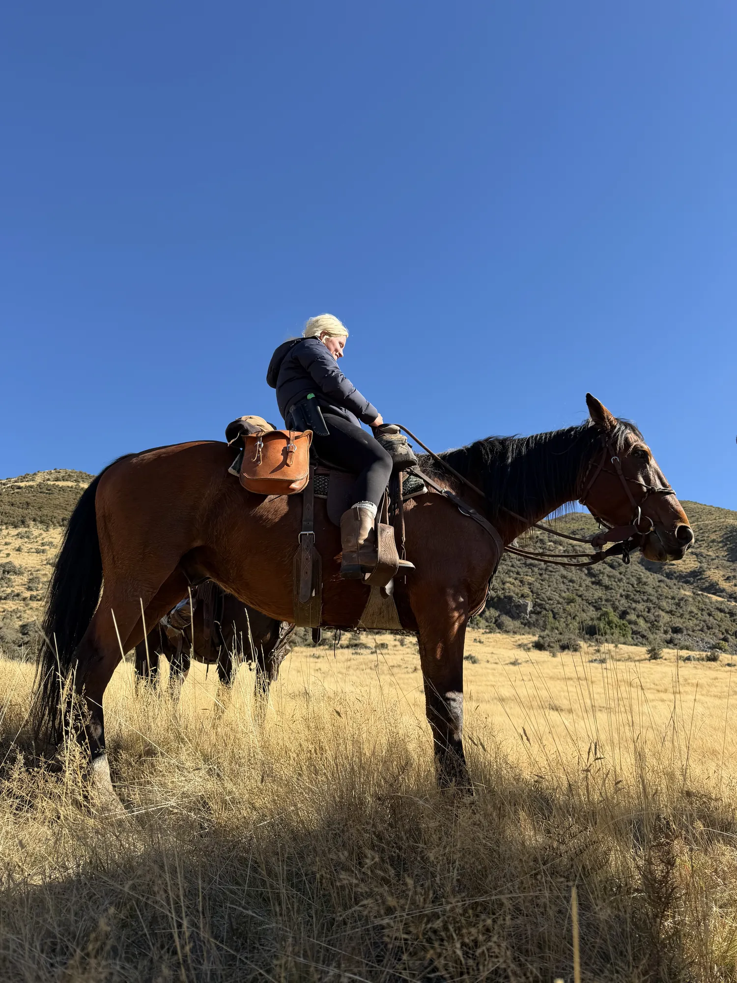 High-country horse trekking, New Zealand