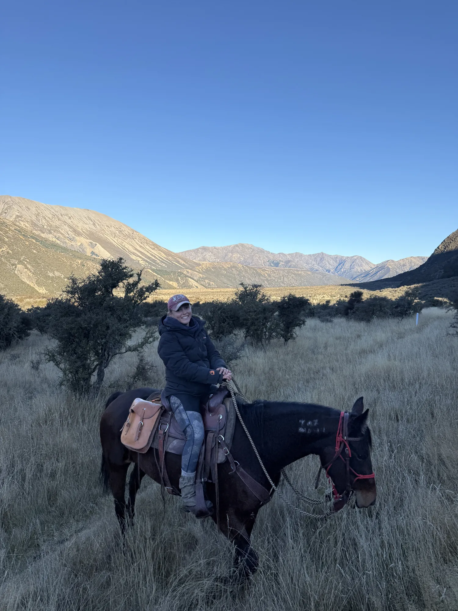 High-country horse trekking, New Zealand