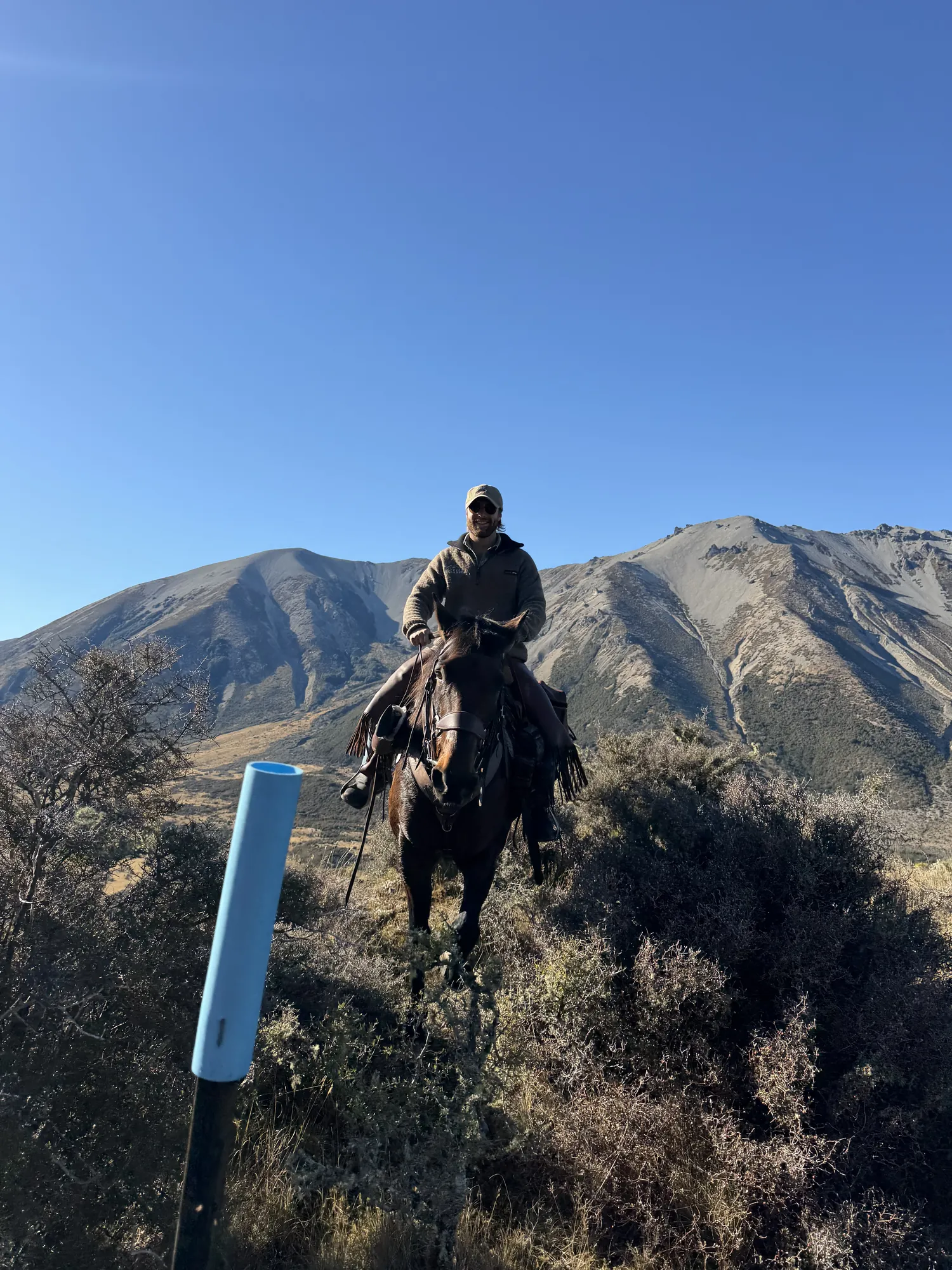 High-country horse trekking, New Zealand