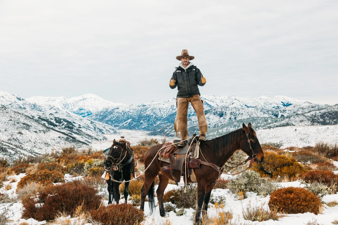 Horse Assistance for Hunters — Enquire