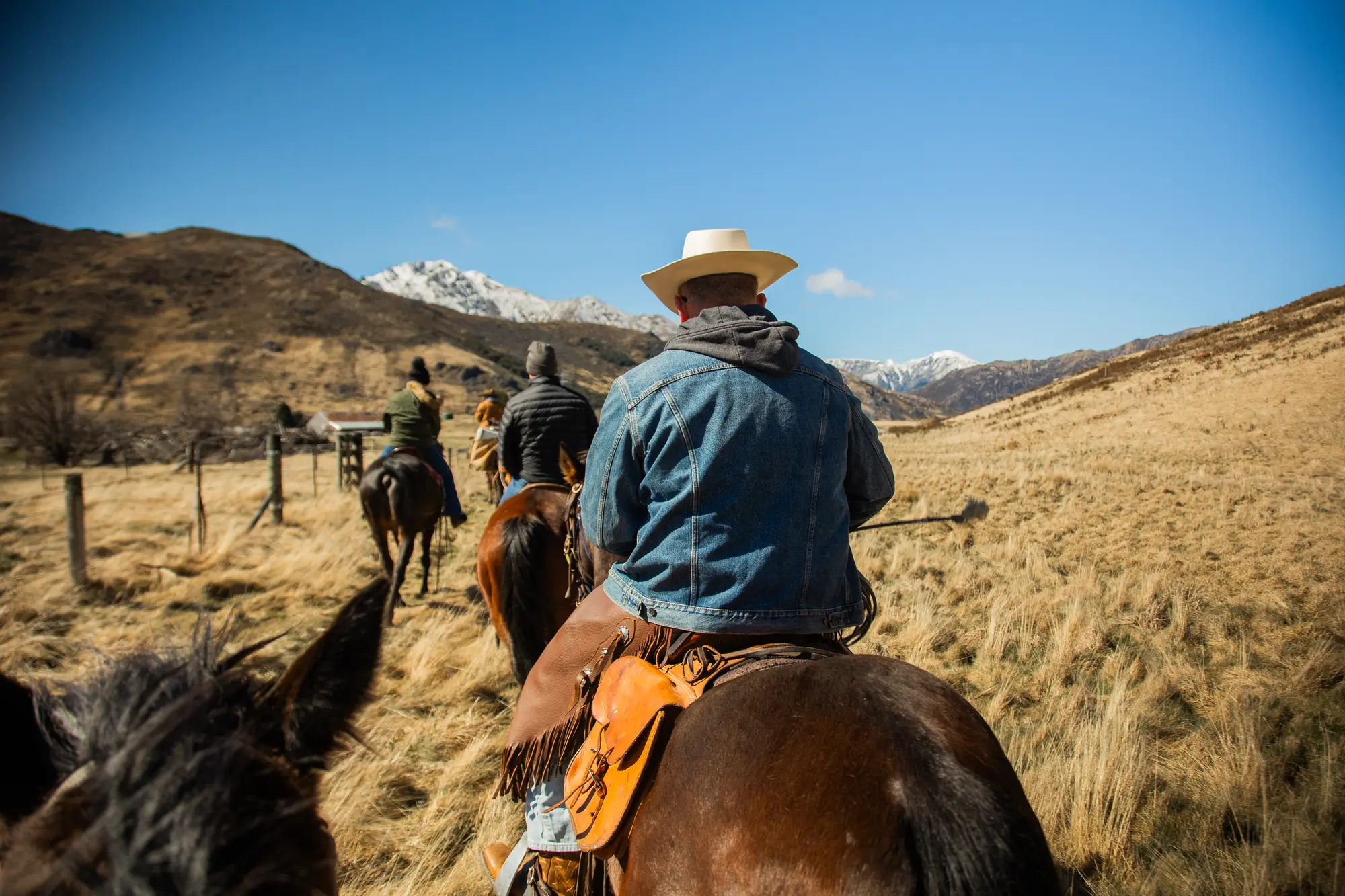 High-country horse trekking, New Zealand