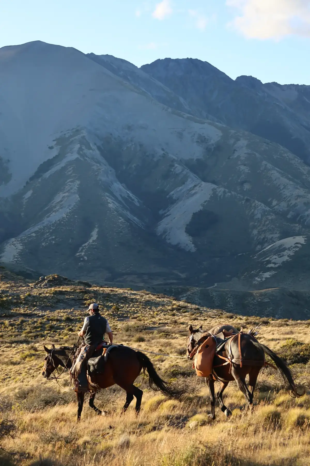 High-country horse trekking