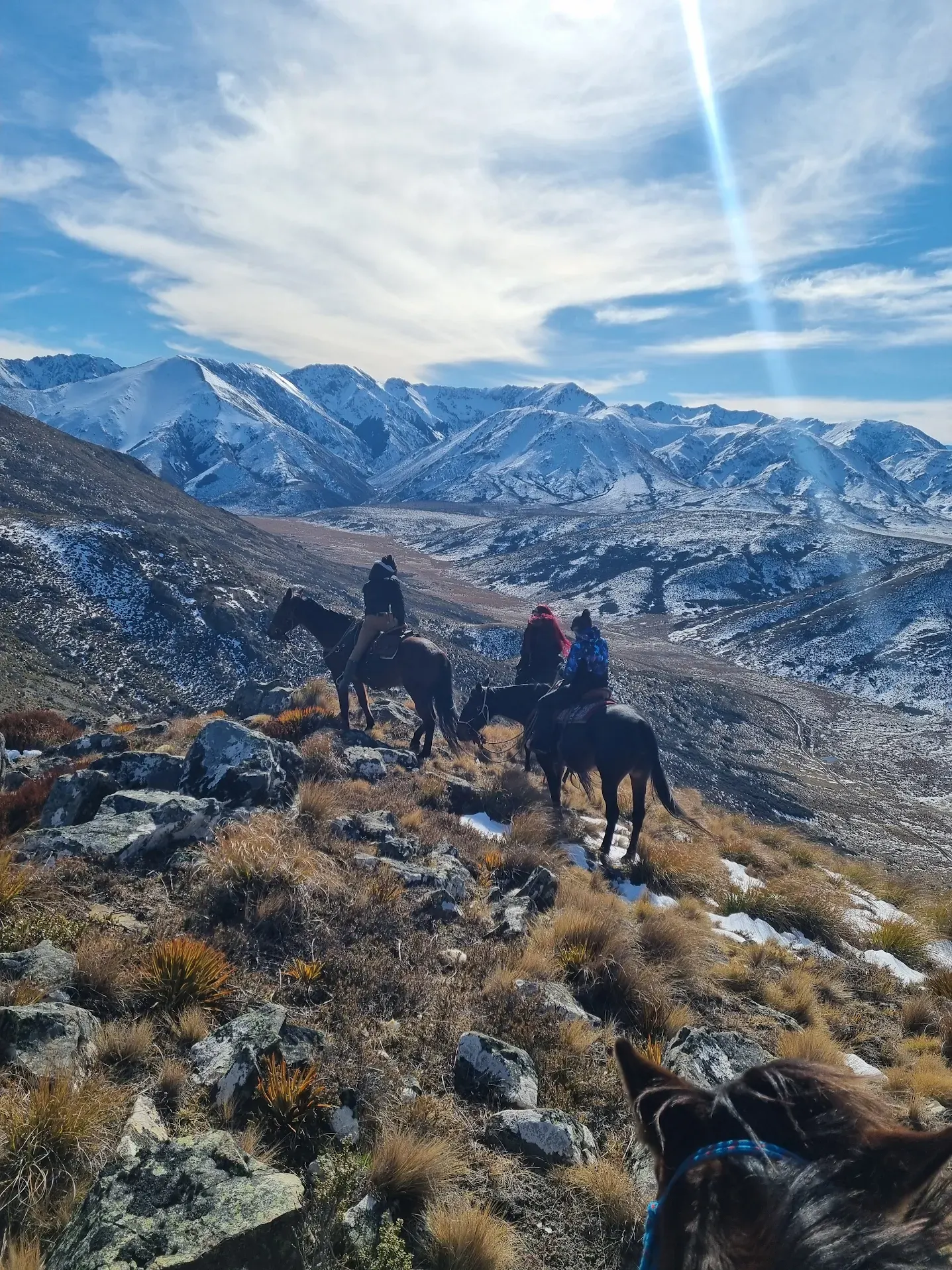 First-time riders on a guided horse trek in the St James high country, New Zealand