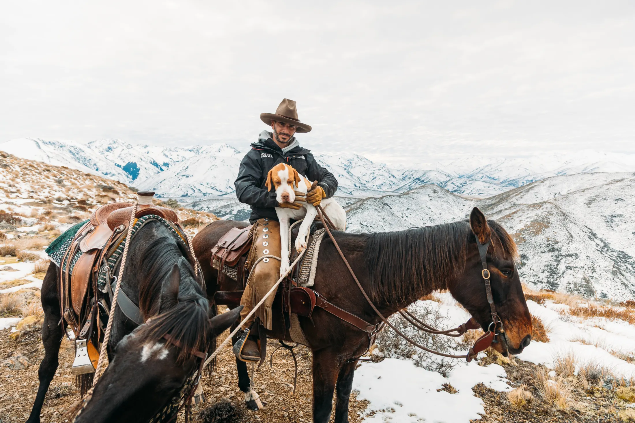 High-country horse trekking, New Zealand