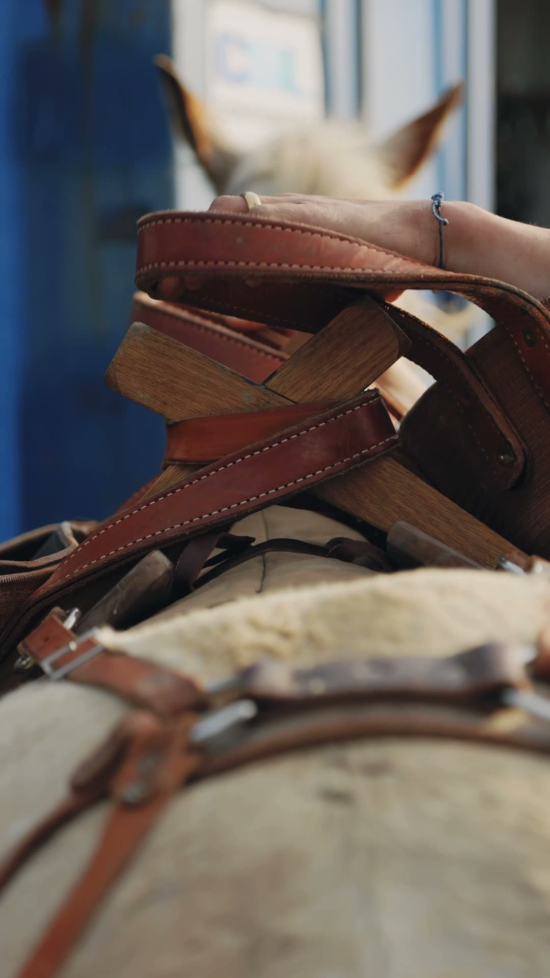 Loading the packhorse at golden hour